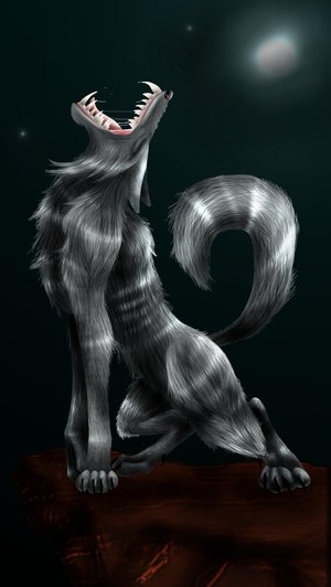 Vlkodlak 019